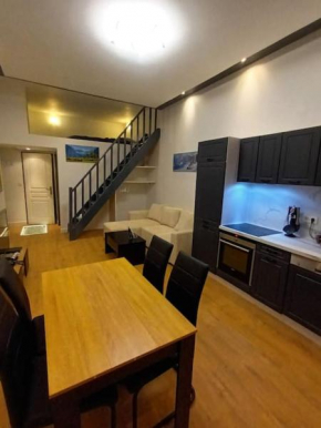 Grand studio avec mezzanine